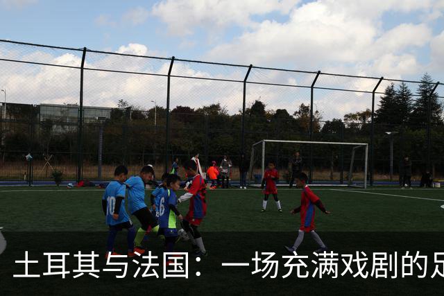 土耳其与法国：一场充满戏剧的足球小品