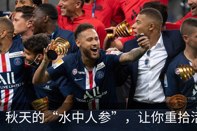 秋天的“水中人参”，让你重拾活力的美味秘诀